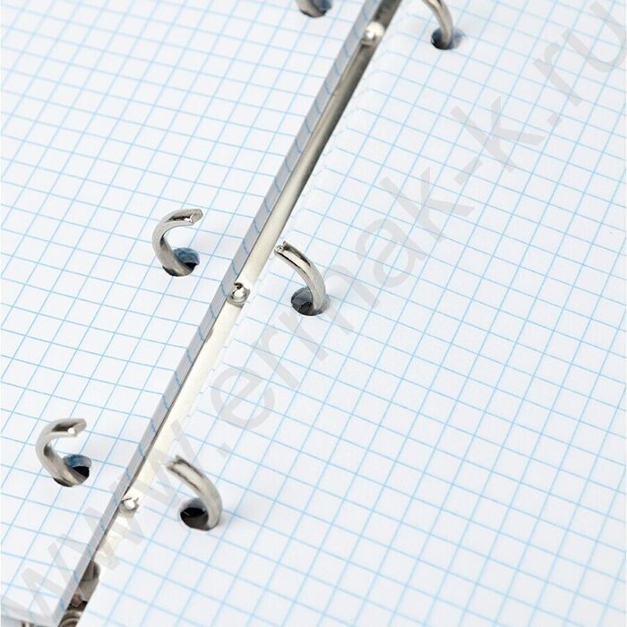 Тетрадь 160л клетка/кольца "Леопард-1" | Фото 3