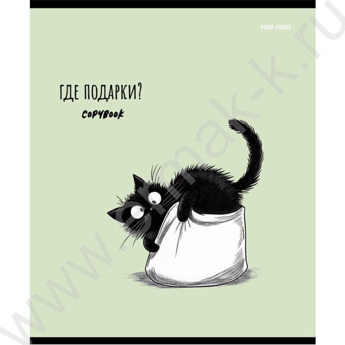 Тетрадь  48л клетка "Чёрный котёнок-1" /лён/ ассорти | Фото 4