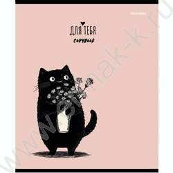 Тетрадь  48л клетка "Чёрный котёнок-1" /лён/ ассорти | Фото 5