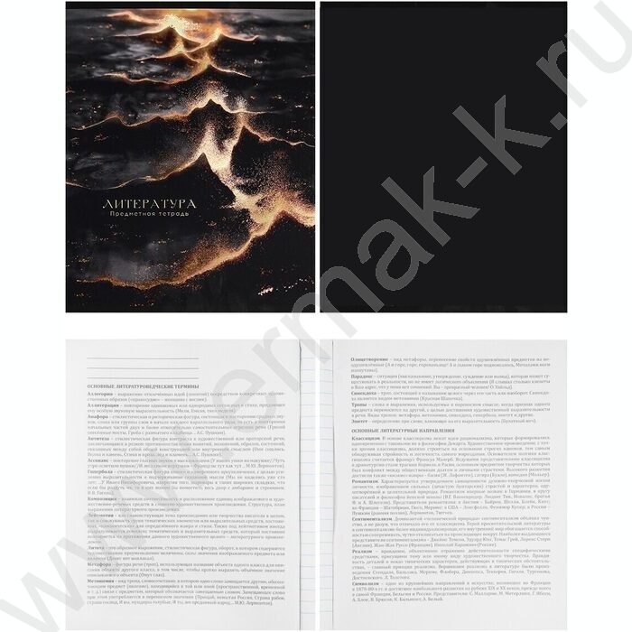 Тетрадь предметная 48л Набор 12шт "Black&Gold" ассорти х.фол,софт-тач,выб.л | Фото 3