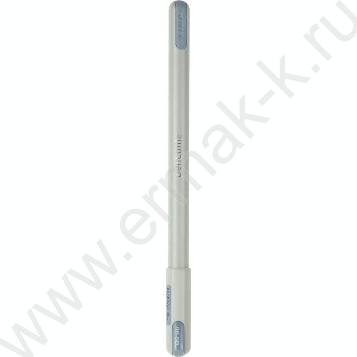 Ручка гелевая черная 0,6мм Pentonic Frost | Фото 2