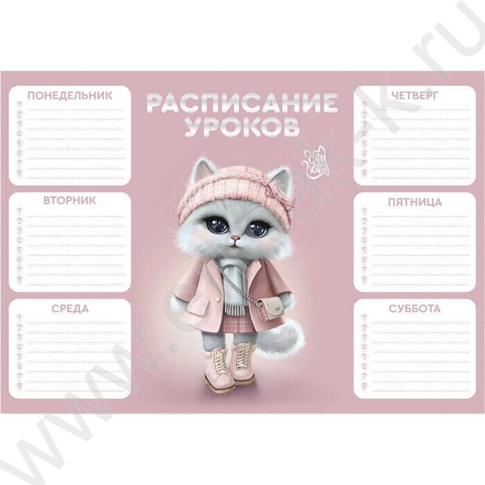 Расписание уроков А4 Кошечка в пальто /выб.Уф-лак/ | Фото 1