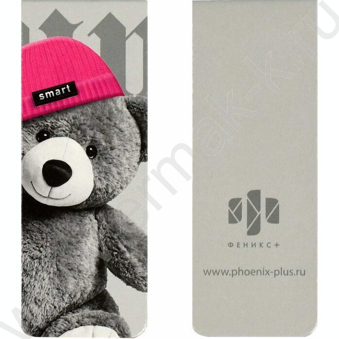 Закладки магнитные "Звери в шапочках" набор 2шт | Фото 1