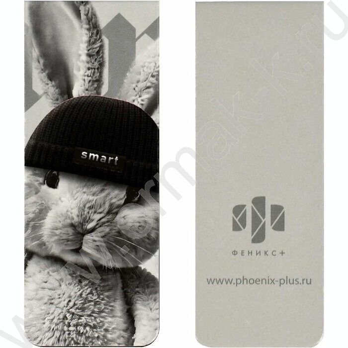 Закладки магнитные "Звери в шапочках" набор 2шт | Фото 2