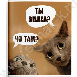 Тетрадь  48л клетка "Смешные коты" /мел.карт., ВД-лак /ассорти | Фото 3