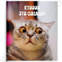 Тетрадь  48л клетка "Смешные коты" /мел.карт., ВД-лак /ассорти | Фото 4
