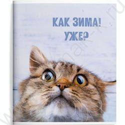Тетрадь  48л клетка "Смешные коты" /мел.карт., ВД-лак /ассорти | Фото 5
