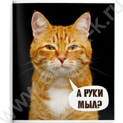 Тетрадь  48л клетка "Смешные коты" /мел.карт., ВД-лак /ассорти | Фото 6