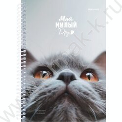 Зап. книжка  80л А5 спираль "Мой милый друг" | Фото 1