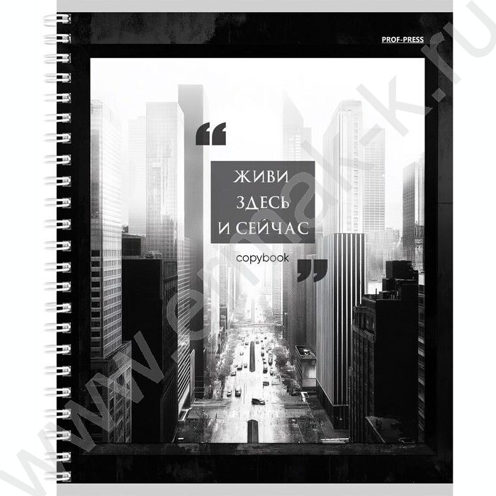 Тетрадь  80л клетка/спираль/двойная обложка "Чёрно-белый мегаполис" | Фото 2