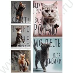 Тетрадь  96л клетка "Котики и надписи" /лён/серебро/ ассорти | Фото 1