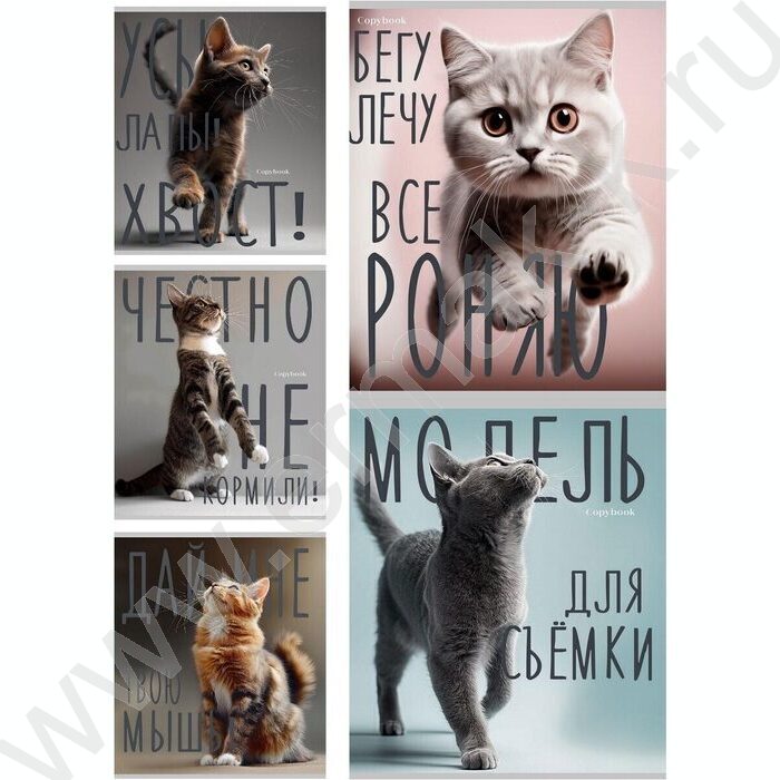 Тетрадь  96л клетка "Котики и надписи" /лён/серебро/ ассорти | Фото 1