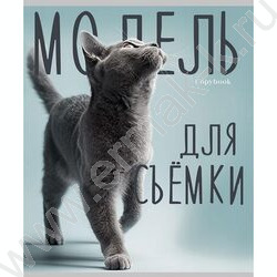 Тетрадь  96л клетка "Котики и надписи" /лён/серебро/ ассорти | Фото 3