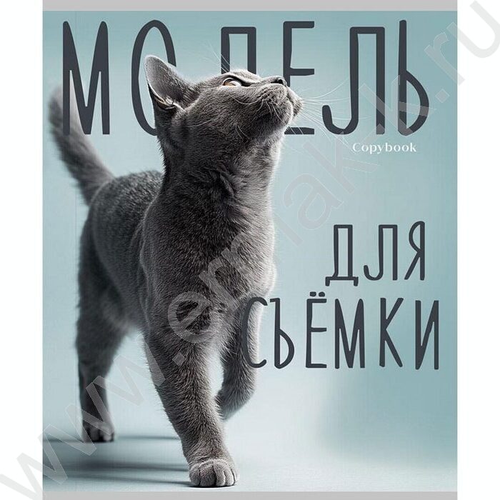 Тетрадь  96л клетка "Котики и надписи" /лён/серебро/ ассорти | Фото 3