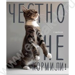 Тетрадь  96л клетка "Котики и надписи" /лён/серебро/ ассорти | Фото 4