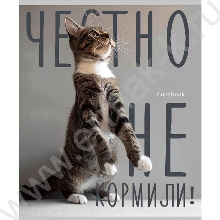 Тетрадь  96л клетка "Котики и надписи" /лён/серебро/ ассорти | Фото 4