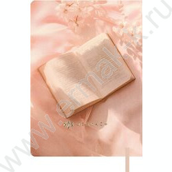 Зап. книжка учителя, преподователя 120л А5 иск.кожа  "Рукопись" ляссе | Фото 9