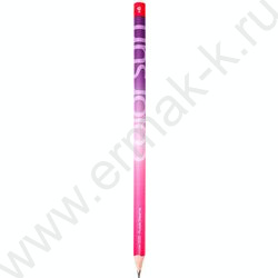 Карандаш ч/гр HB ColorSurf.Bright | Фото 1