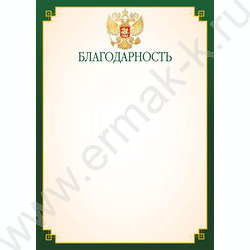 Благодарность с госсимволикой | Фото 1