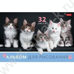 Альбом д/рисования 32л "Ассорти- Выпуск №4" 5видов | Фото 3