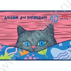 Альбом д/рисования 40л "Котофей"  5видов | Фото 1