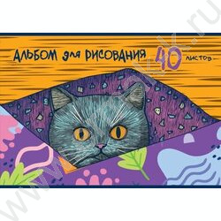 Альбом д/рисования 40л "Котофей"  5видов | Фото 4