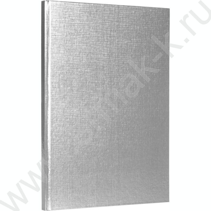 Бизнес-блокнот  80л А4 5-цв.блок/Бумвинил METALLIC Серебро | Фото 1