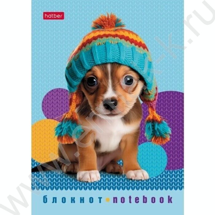 Блокнот  24л А6 "Песики и котики" /глянц. ламин./ ассорти | Фото 2