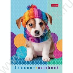 Блокнот  24л А6 "Песики и котики" /глянц. ламин./ ассорти | Фото 3