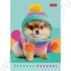 Блокнот  24л А6 "Песики и котики" /глянц. ламин./ ассорти | Фото 4