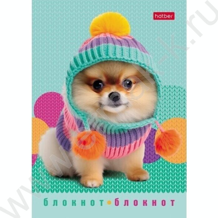 Блокнот  24л А6 "Песики и котики" /глянц. ламин./ ассорти | Фото 4