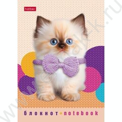 Блокнот  24л А6 "Песики и котики" /глянц. ламин./ ассорти | Фото 8