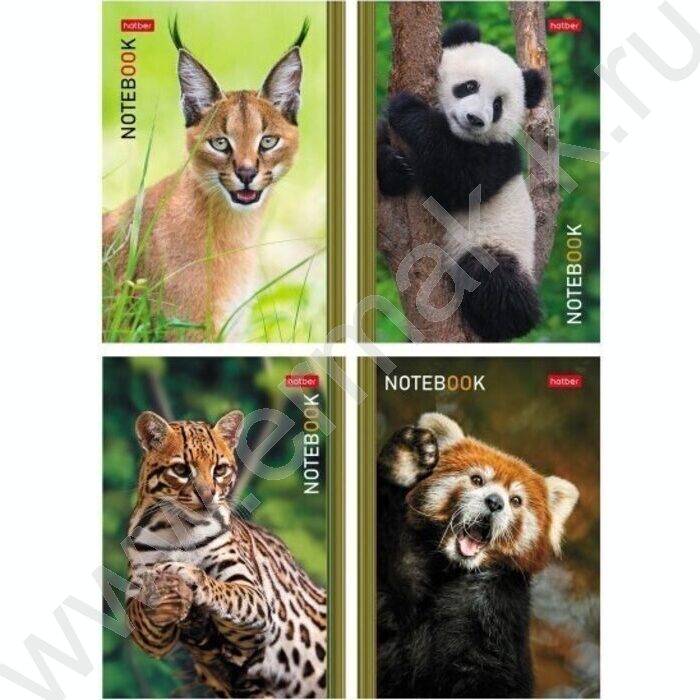 Блокнот  24л А6 "В мире животных" /глянц. ламин./ ассорти | Фото 2