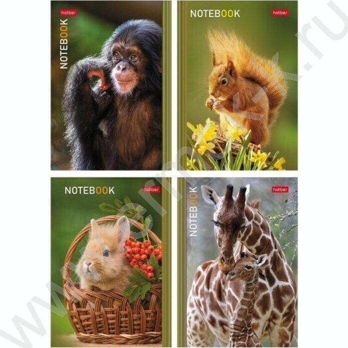 Блокнот  24л А6 "В мире животных" /глянц. ламин./ ассорти | Фото 3