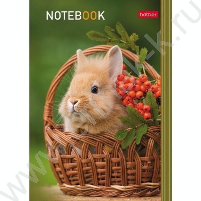 Блокнот  24л А6 "В мире животных" /глянц. ламин./ ассорти | Фото 7