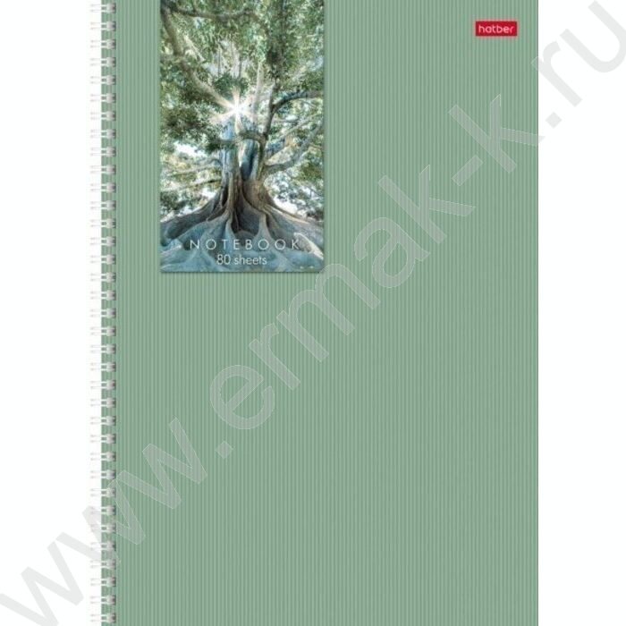 Тетрадь  80л А4 клетка /спираль /многоцветный срез/перфорация на отрыв/ "Прикосновение к природе | Фото 3