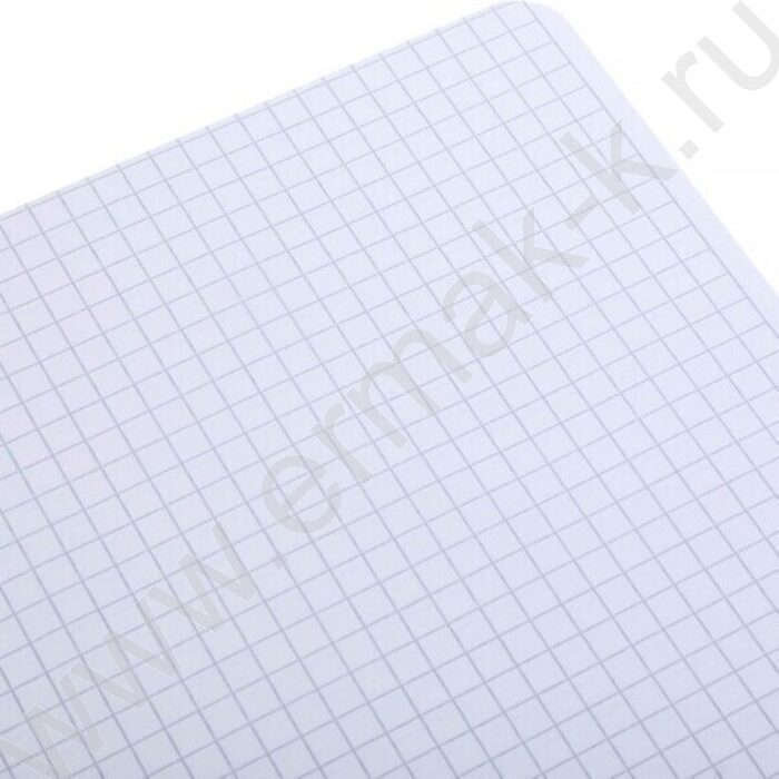 Тетрадь  96л А4 клетка/спираль/перфорация "Цветочные сны" /мат.ламин. 3D фольга/ ассорти | Фото 4