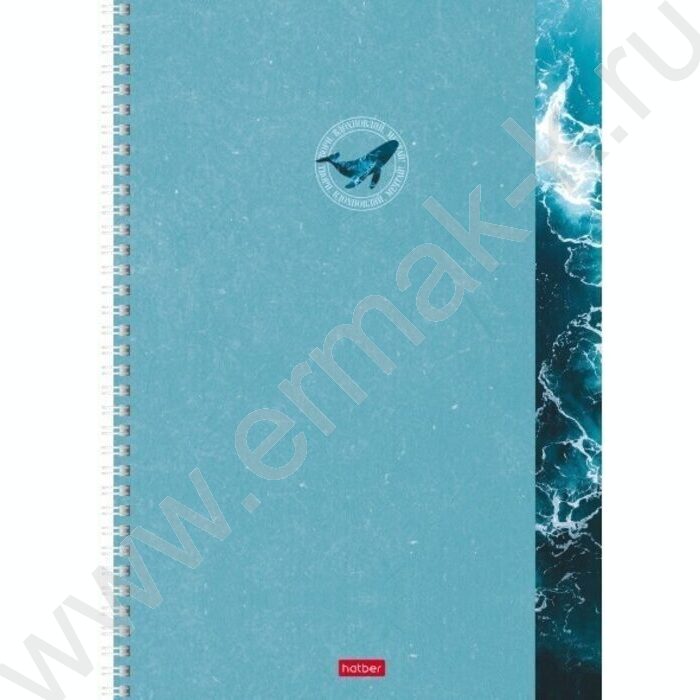 Тетрадь  96л А4 клетка/спираль/перфорация на отрыв "Вдохновение вокруг" 2вида | Фото 1