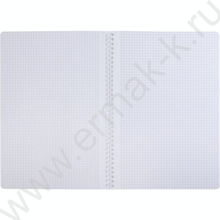 Тетрадь  96л А4 клетка/спираль/перфорация на отрыв "Вдохновение вокруг" 2вида | Фото 3