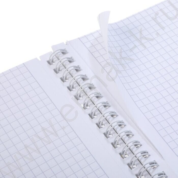 Тетрадь  96л А4 клетка/спираль/перфорация на отрыв "Вдохновение вокруг" 2вида | Фото 5