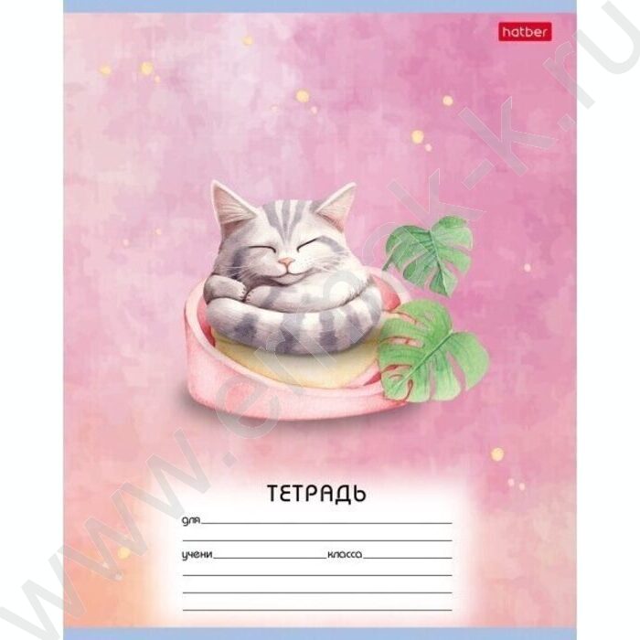 Тетрадь  12л линейка "Пушистые сны" 5видов | Фото 5