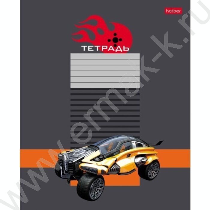 Тетрадь  12л клетка "Багги" 5видов | Фото 3
