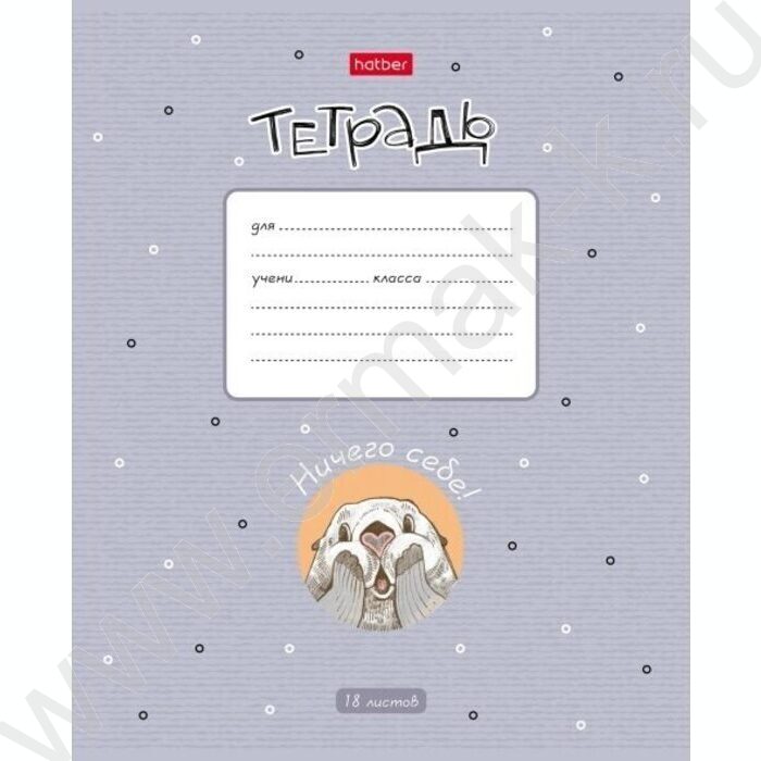 Тетрадь  18л клетка "Калан Кеша" 5видов | Фото 1