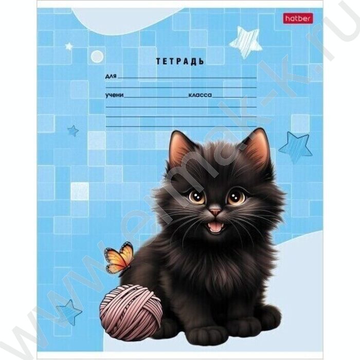 Тетрадь  18л линейка "Черный котик" 5видов | Фото 1