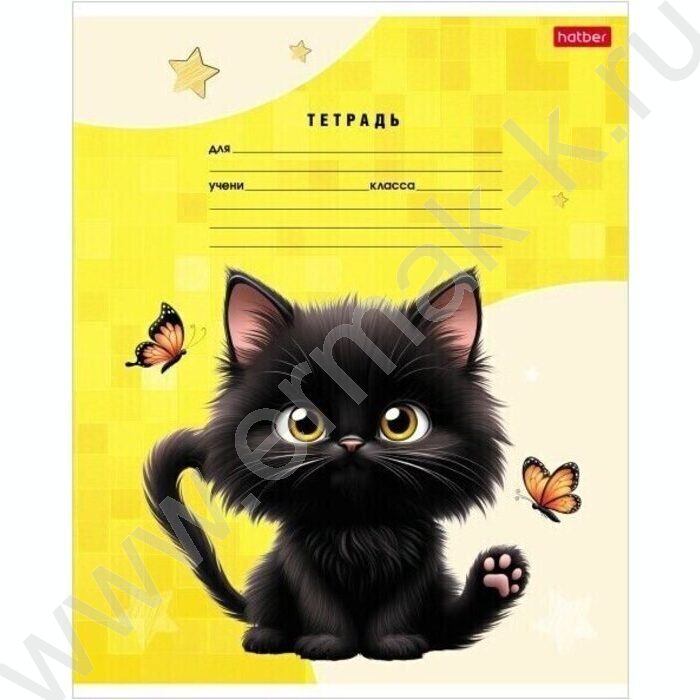 Тетрадь  18л линейка "Черный котик" 5видов | Фото 5