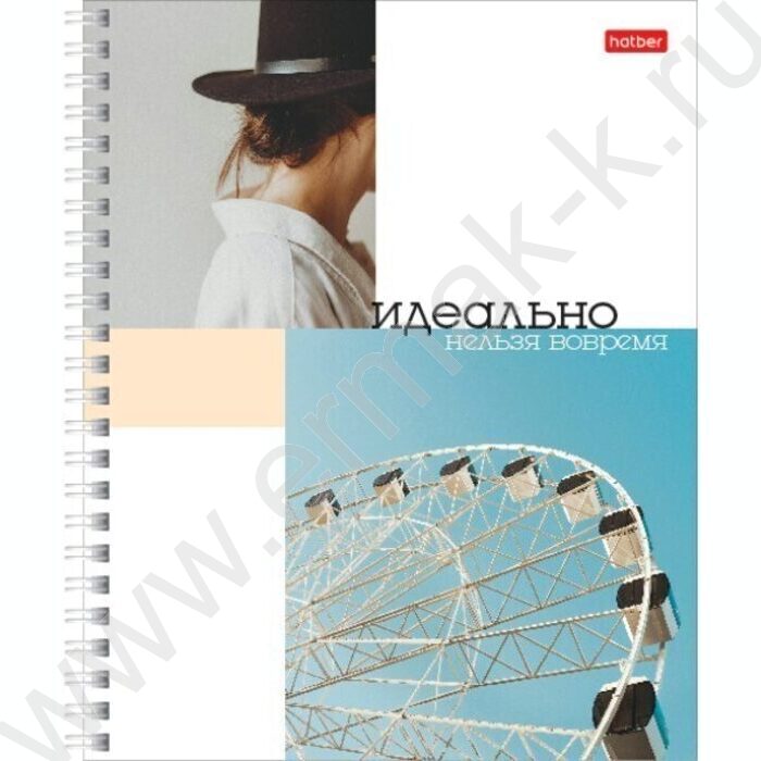 Тетрадь  80л линейка/спираль "Время вдохновения" ассорти | Фото 1