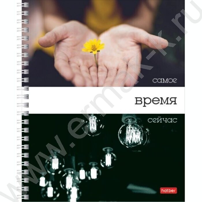 Тетрадь  80л линейка/спираль "Время вдохновения" ассорти | Фото 2