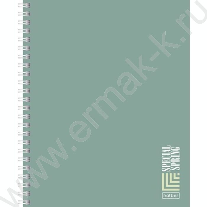 Тетрадь  80л линейка/спираль "Special Spring" /ламинация Soft-touch/ ассорти | Фото 2