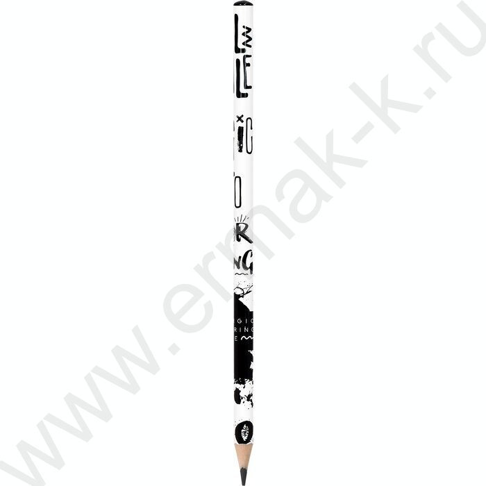 Карандаш пластиковый  HB Wood free Grunge 4ever /трехгранный /заточенный /туба | Фото 1