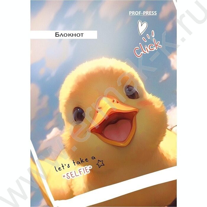 Блокнот  48л А7 "Забавные животные-6" ассорти | Фото 3